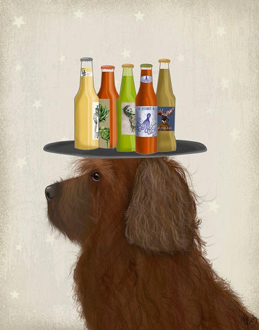 Labradoodle Brown 2 Beer Lover White Modern Wood Framed Art Print with Double Matting by Fab Funky