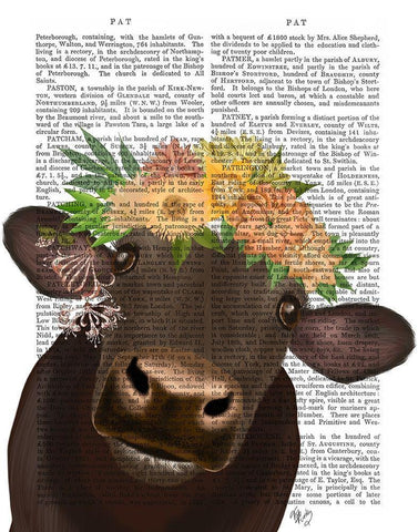 Cow with Flower Crown 1 Book Print White Modern Wood Framed Art Print with Double Matting by Fab Funky