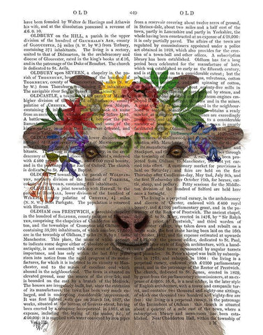Goat Bohemian 1 Book Print White Modern Wood Framed Art Print with Double Matting by Fab Funky