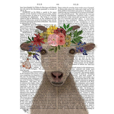 Goat Bohemian 1 Book Print Black Modern Wood Framed Art Print with Double Matting by Fab Funky
