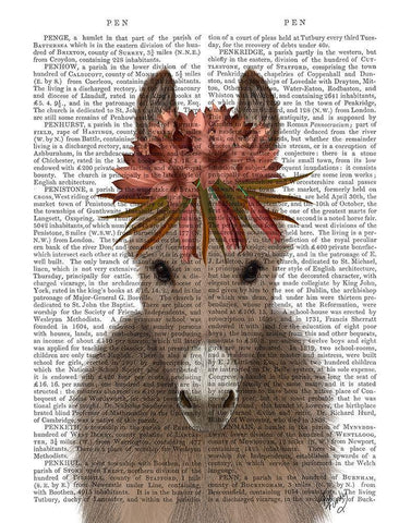 Donkey Bohemian 1 Book Print White Modern Wood Framed Art Print with Double Matting by Fab Funky