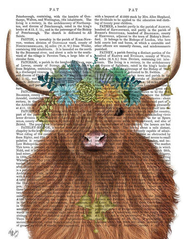 Highland Cow Bohemian 1 Book Print White Modern Wood Framed Art Print with Double Matting by Fab Funky
