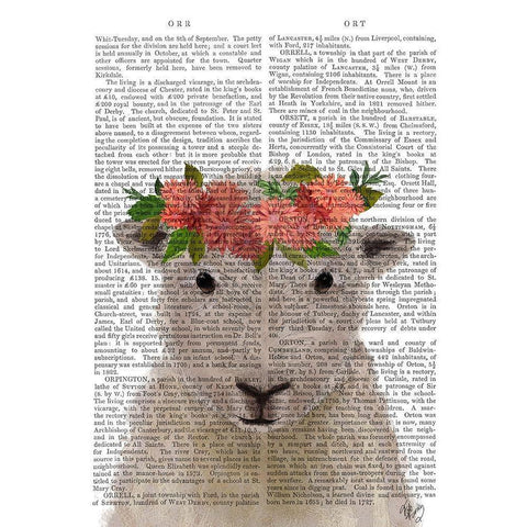 Sheep Bohemian 1 Book Print Black Modern Wood Framed Art Print with Double Matting by Fab Funky