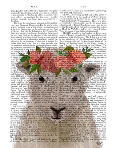 Sheep Bohemian 1 Book Print White Modern Wood Framed Art Print with Double Matting by Fab Funky