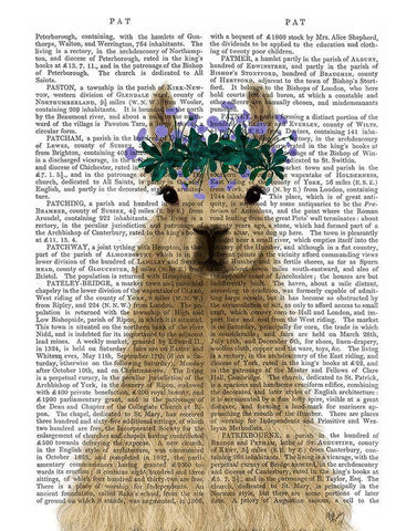 Llama Bohemian 1 Book Print White Modern Wood Framed Art Print with Double Matting by Fab Funky