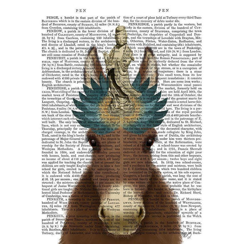 Donkey Bodhisattva Book Print White Modern Wood Framed Art Print by Fab Funky