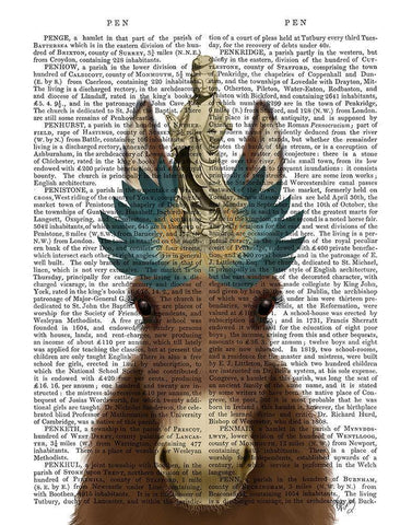 Donkey Bodhisattva Book Print White Modern Wood Framed Art Print with Double Matting by Fab Funky