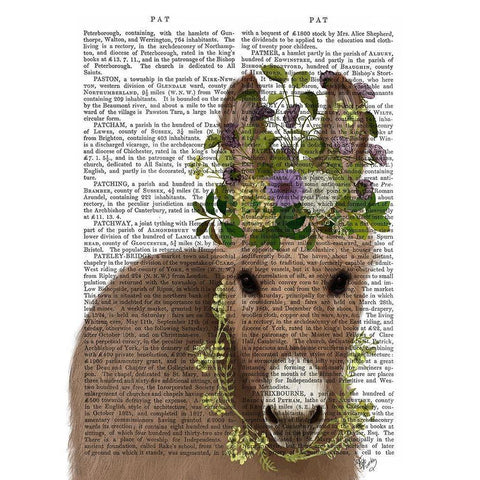 Donkey Bohemian 2 Book Print Gold Ornate Wood Framed Art Print with Double Matting by Fab Funky