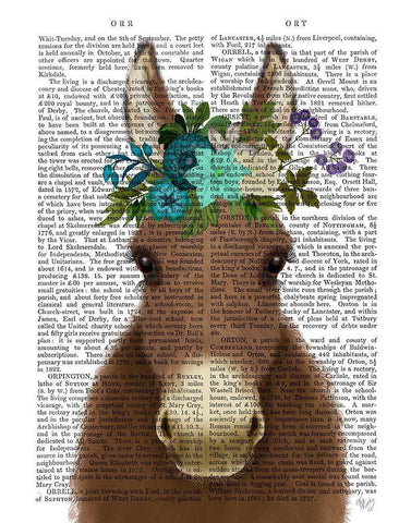 Donkey Bohemian 3 Book Print White Modern Wood Framed Art Print with Double Matting by Fab Funky