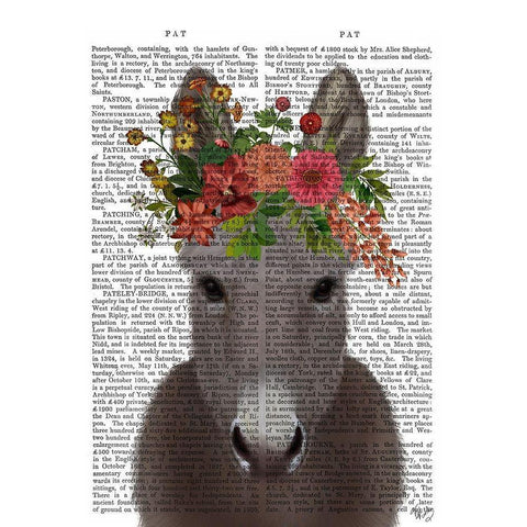 Donkey Bohemian 4 Book Print White Modern Wood Framed Art Print by Fab Funky