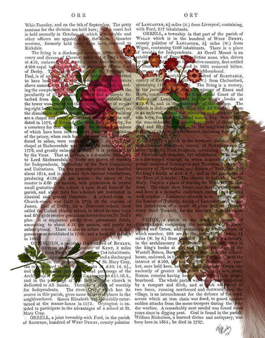 Donkey Bohemian 5 Book Print White Modern Wood Framed Art Print with Double Matting by Fab Funky