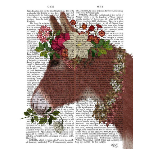 Donkey Bohemian 5 Book Print Gold Ornate Wood Framed Art Print with Double Matting by Fab Funky