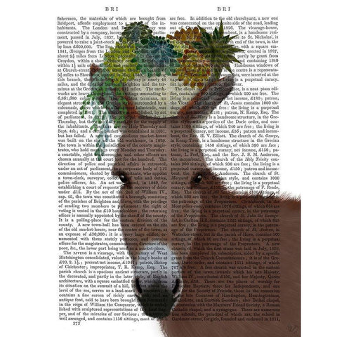Donkey Succulent Book Print Black Modern Wood Framed Art Print with Double Matting by Fab Funky