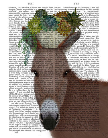 Donkey Succulent Book Print Black Ornate Wood Framed Art Print with Double Matting by Fab Funky