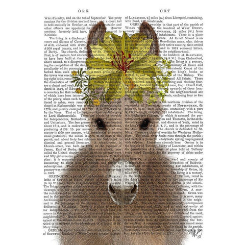 Donkey Sunflower Book Print Gold Ornate Wood Framed Art Print with Double Matting by Fab Funky