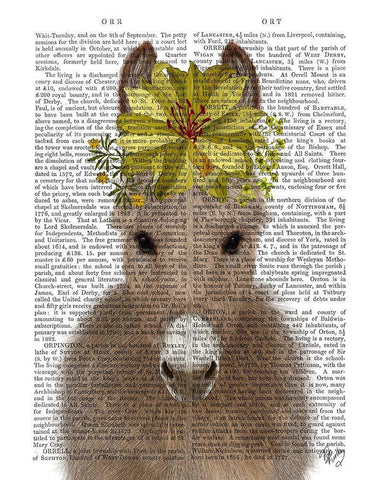 Donkey Sunflower Book Print Black Ornate Wood Framed Art Print with Double Matting by Fab Funky
