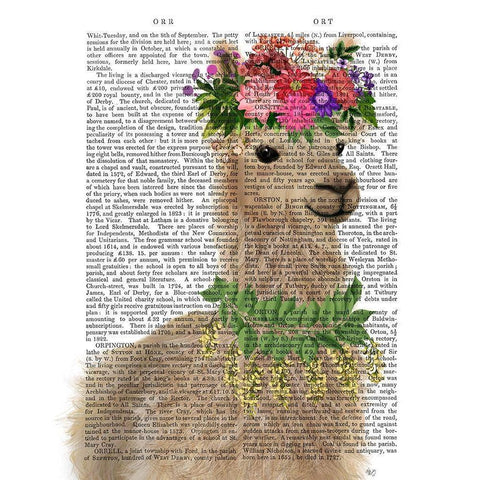 Llama Bohemian 2 Book Print Black Modern Wood Framed Art Print with Double Matting by Fab Funky