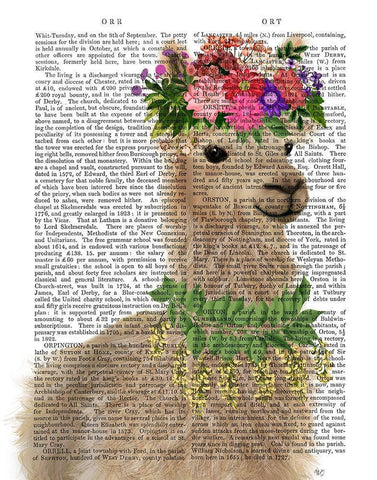Llama Bohemian 2 Book Print White Modern Wood Framed Art Print with Double Matting by Fab Funky