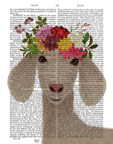 Goat Bohemian 2 Book Print White Modern Wood Framed Art Print with Double Matting by Fab Funky