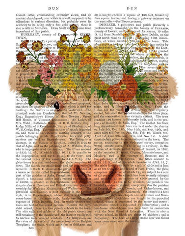 Cow Cream Bohemian 1 Book Print White Modern Wood Framed Art Print with Double Matting by Fab Funky