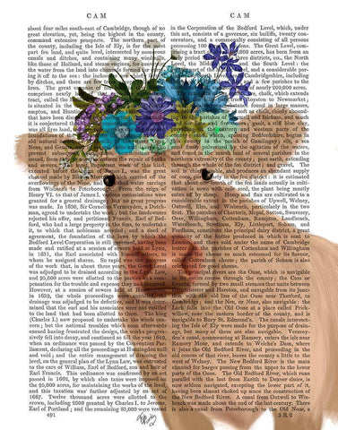Cow Cream Bohemian 2 Book Print White Modern Wood Framed Art Print with Double Matting by Fab Funky