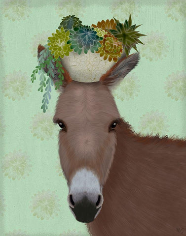 Donkey Succulent White Modern Wood Framed Art Print with Double Matting by Fab Funky