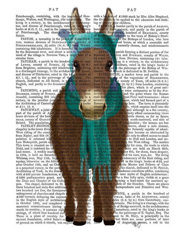 Donkey Blue Hat and Scarf Book Print White Modern Wood Framed Art Print with Double Matting by Fab Funky