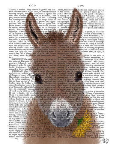 Donkey Yellow Flower Book Print White Modern Wood Framed Art Print with Double Matting by Fab Funky