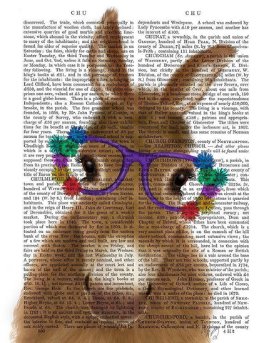 Donkey Purple Flower Glasses Book Print White Modern Wood Framed Art Print with Double Matting by Fab Funky