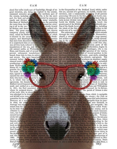 Donkey Red Flower Glasses Book Print White Modern Wood Framed Art Print with Double Matting by Fab Funky