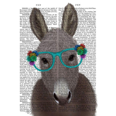 Donkey Turquoise Flower Glasses Book Print Black Modern Wood Framed Art Print with Double Matting by Fab Funky