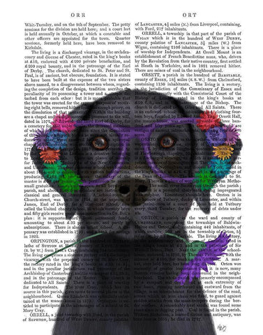 Black Labrador and Flower Glasses Book Print White Modern Wood Framed Art Print with Double Matting by Fab Funky