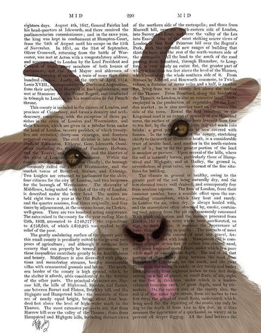 Funny Farm Goat 2 Book Print White Modern Wood Framed Art Print with Double Matting by Fab Funky