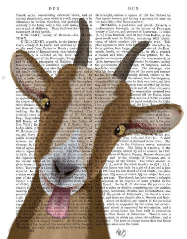 Funny Farm Goat 3 Book Print White Modern Wood Framed Art Print with Double Matting by Fab Funky