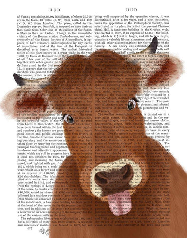 Funny Farm Cow 2 Book Print White Modern Wood Framed Art Print with Double Matting by Fab Funky