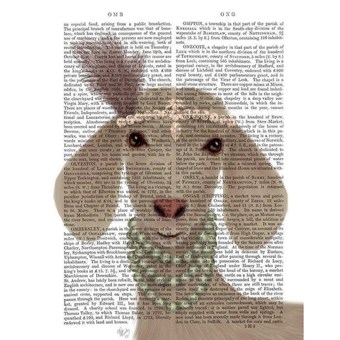 Posh White Goat Book Print White Modern Wood Framed Art Print by Fab Funky