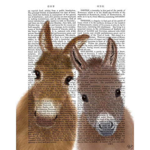 Donkey Duo, Looking at You Book Print Gold Ornate Wood Framed Art Print with Double Matting by Fab Funky