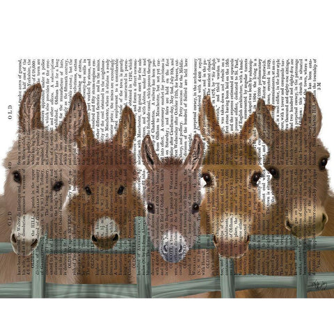 Donkey Herd at Fence Book Print Black Modern Wood Framed Art Print with Double Matting by Fab Funky