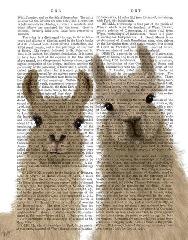 Llama Duo, Looking at You Book Print White Modern Wood Framed Art Print with Double Matting by Fab Funky