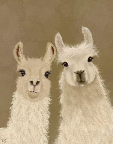 Llama Duo, Looking at You White Modern Wood Framed Art Print with Double Matting by Fab Funky