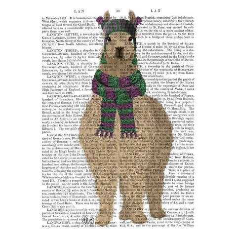 Llama with Purple Scarf, Full Book Print Gold Ornate Wood Framed Art Print with Double Matting by Fab Funky