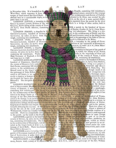 Llama with Purple Scarf, Full Book Print White Modern Wood Framed Art Print with Double Matting by Fab Funky
