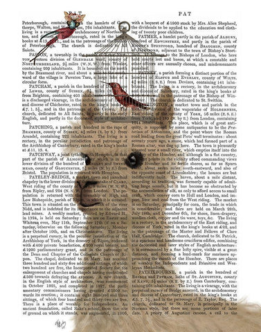 Llama and Birdcage Book Print White Modern Wood Framed Art Print with Double Matting by Fab Funky