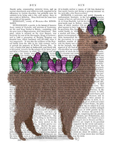 Llama Owls, Full Book Print White Modern Wood Framed Art Print with Double Matting by Fab Funky
