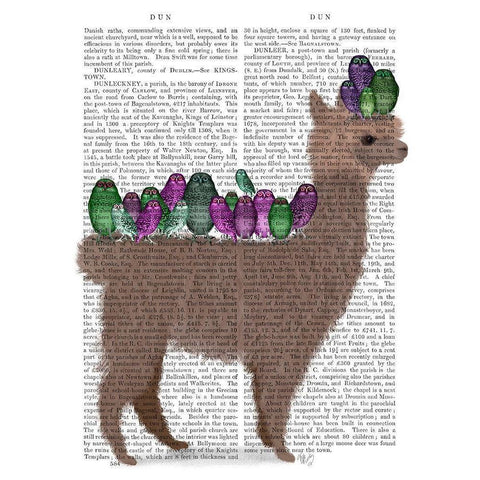 Llama Owls, Full Book Print White Modern Wood Framed Art Print by Fab Funky