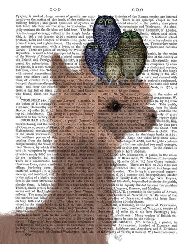 Llama Owls, Portrait Book Print White Modern Wood Framed Art Print with Double Matting by Fab Funky