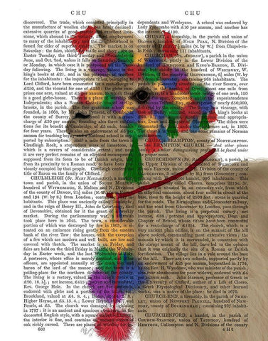 Llama Traditional 2, Portrait Book Print White Modern Wood Framed Art Print with Double Matting by Fab Funky