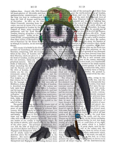Penguin Fishing Book Print White Modern Wood Framed Art Print with Double Matting by Fab Funky