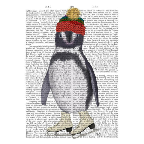 Penguin Ice Skating Book Print Black Modern Wood Framed Art Print with Double Matting by Fab Funky