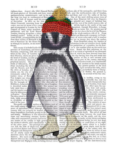 Penguin Ice Skating Book Print Black Ornate Wood Framed Art Print with Double Matting by Fab Funky
